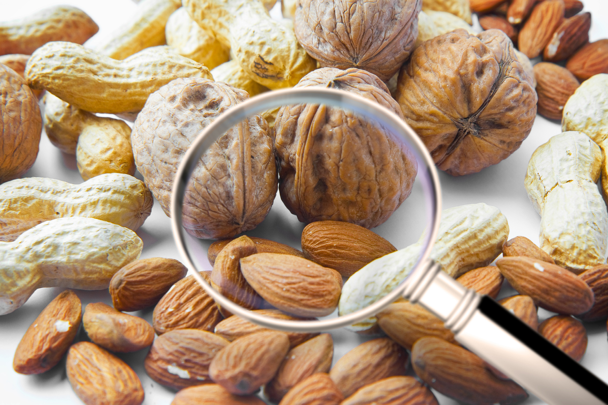 Quality control about dried fruit- HACCP (Hazard Analyses and Critical Control Points) concept image with peanuts, walnuts and almonds seen through a magnifying glass.