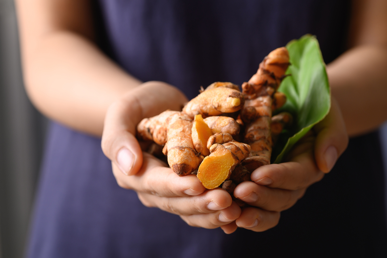 Fresh turmeric holding by hand, Food ingredients in Asian food and used in beauty spa and herbal medicine