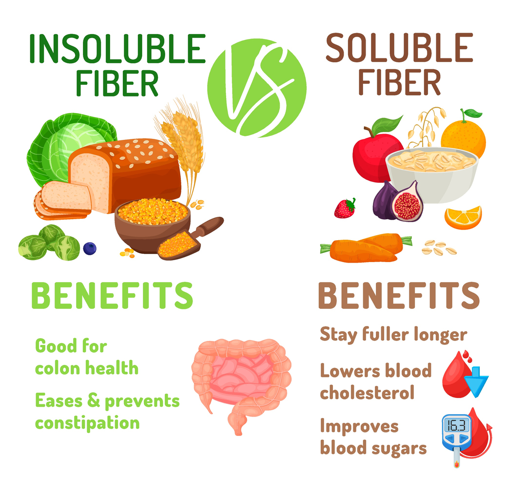 Soluble and insoluble fibre benefits. Editable vector illustration