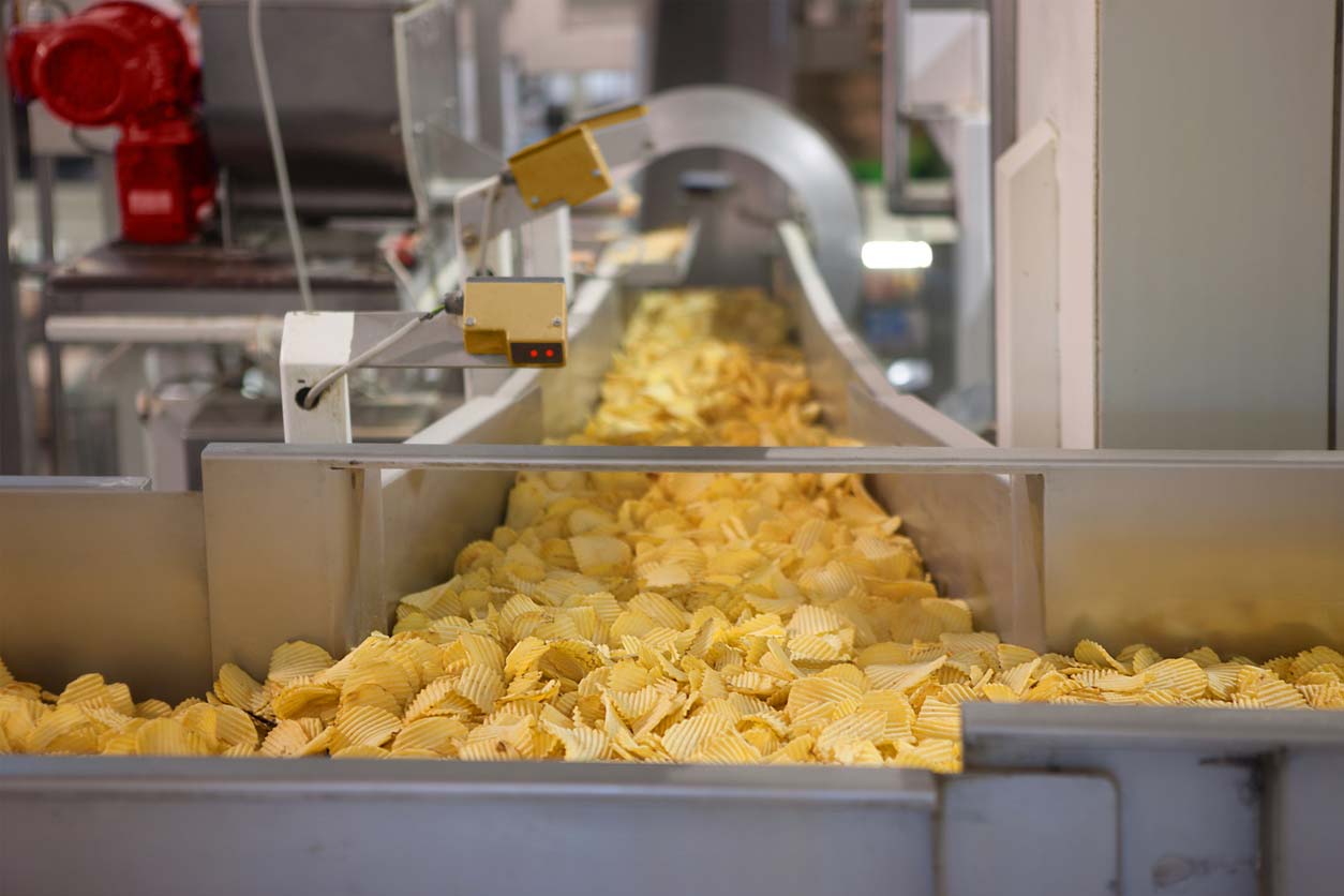 potato chips on conveyor belt
